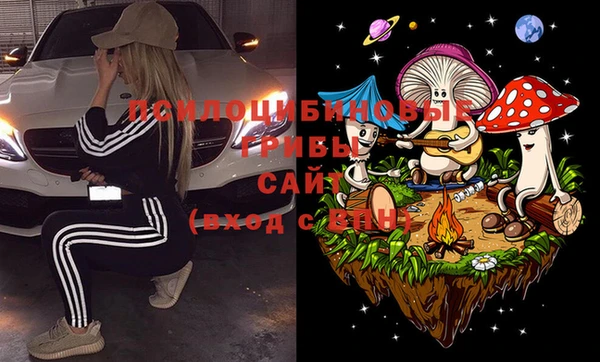 метадон Нея