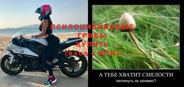 ГАЛЛЮЦИНОГЕННЫЕ ГРИБЫ Гусь-Хрустальный