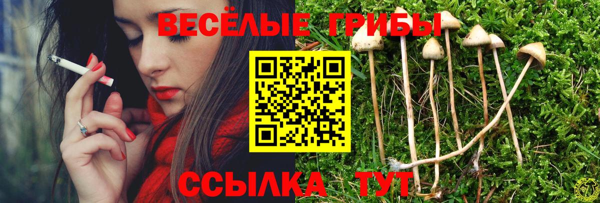 Галлюциногенные грибы ЛСД Обь