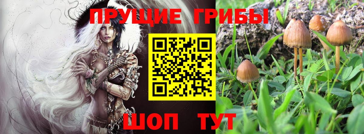 Обь  сколько стоит  Вход с VPN  Галлюциногенные грибы Cubensis  Псилоцибиновые грибы прущие грибы 